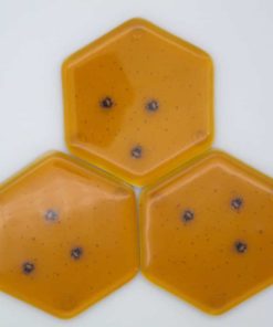 Fused Glass Bee Coasters