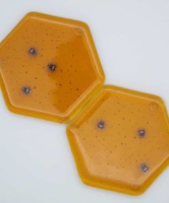 Fused Glass Bee Coasters
