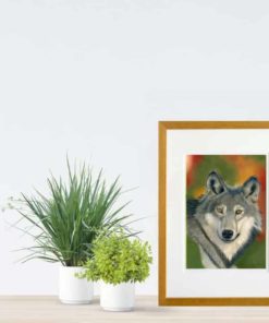 Wolf giclee print by Alan Taylor Art