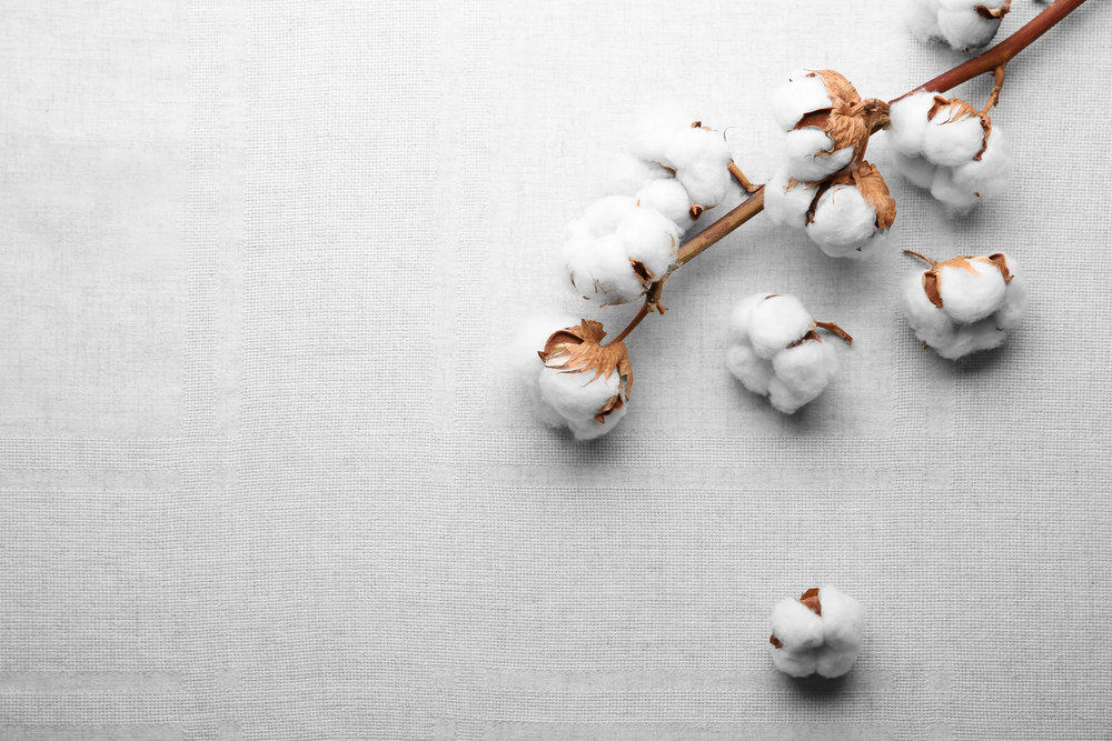 Cotton wedding gifts