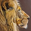 A detailed painting of a lion's profile, showcasing its mane and intense gaze, signed "SSENT 2024.