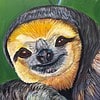 Painting of a smiling sloth with vibrant fur colors and a green leafy background.