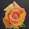 A vibrant rose painting with orange and yellow petals, set against a dark background. Rose art by S Gent, 2024.