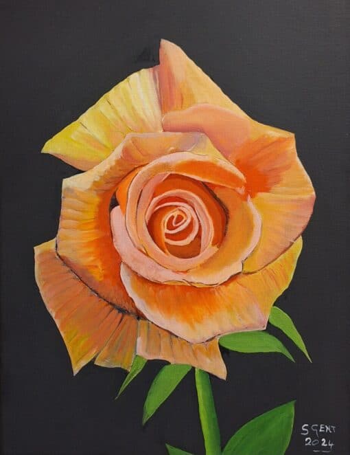 A vibrant rose painting with orange and yellow petals, set against a dark background. Rose art by S Gent, 2024.