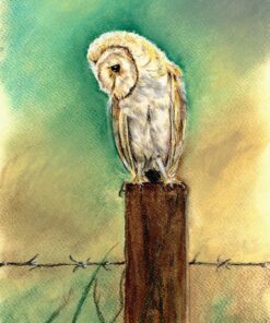 Drawing of a barn owl perched on a wooden post, with a backdrop of barbed wire and a blurred, green and yellow background.