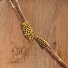 Gold snake-shaped clasp on a beige cork bracelet against a wooden background.