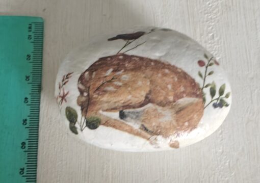 Painted stone featuring a curled-up fawn and foliage, next to a green ruler for scale measurement on a light wooden surface.