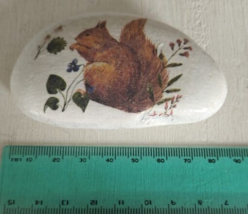 Hand-painted stone featuring a squirrel and flowers beside a green ruler for scale.