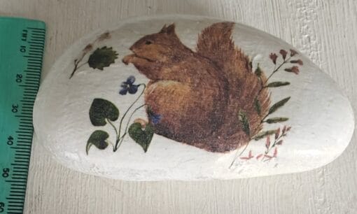 Painted rock with a squirrel and flowers beside a green ruler.