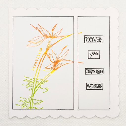 Illustrated card with flowers and the text "Love you beyond words," featuring strelitzia flowers and scalloped edges.