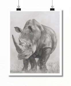 Kevin Hayward Art Rhino Limited Edition Print