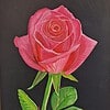 Stephen Gent Art Rose