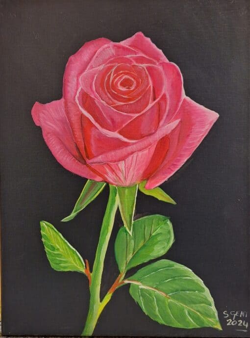 Stephen Gent Art Rose