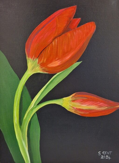 Stephen Gent Art Tulips