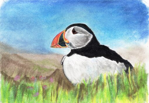 A puffin with a colorful beak is perched in tall grass, with a bright blue sky and distant mountains in the background.