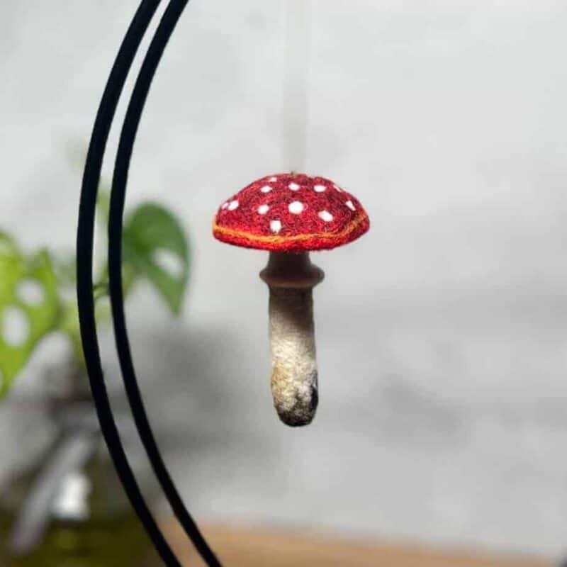 Felted Mushroom