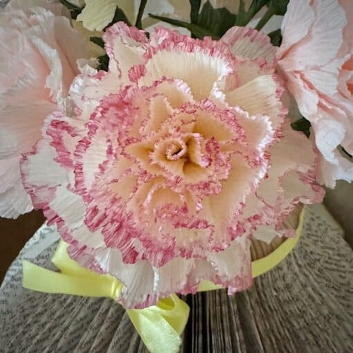 Close-up of a pink and white carnation with ruffled edges, tied with a yellow ribbon on an open book background.